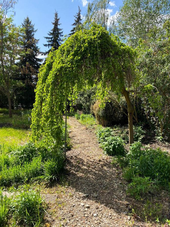 Hotel Garden Олесница Экстерьер фото